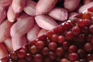 groundnut-redgrap