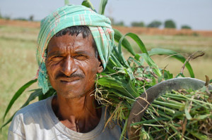 indian-farmer2