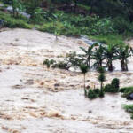 हिमाचल प्रदेशात भीषण पाऊस-पुरामुळे १८७ लोकांचा मृत्यू