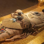 ’त्याच्या’ बॅगमध्ये सापडली ८०० वर्ष जुनी ममी!