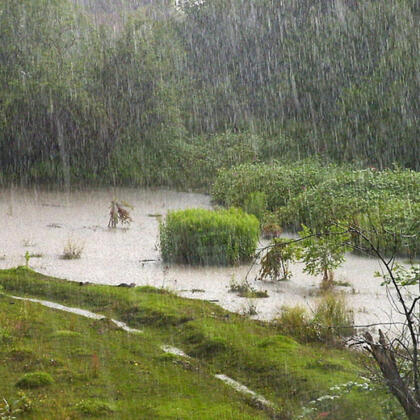 Rain On The Field